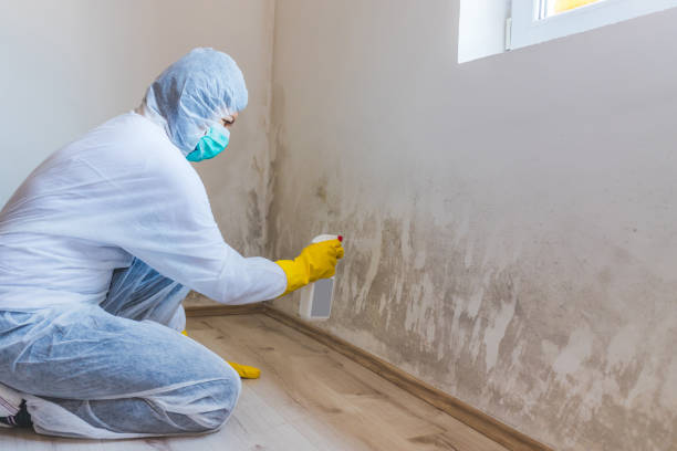 Commercial Mold Remediation assessment for commercial property in Freehold